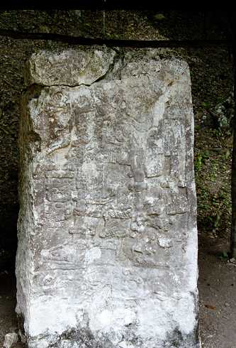 fc000541.jpg