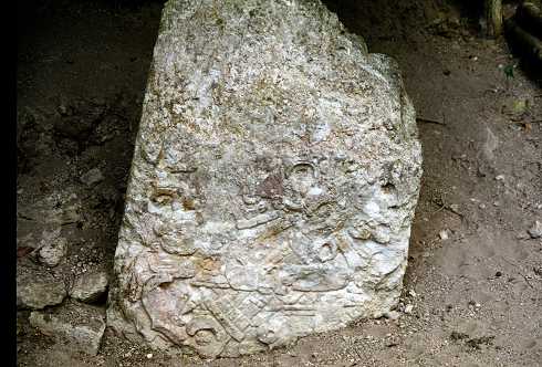 fc000542.jpg