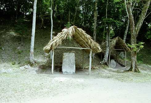 fc000547.jpg