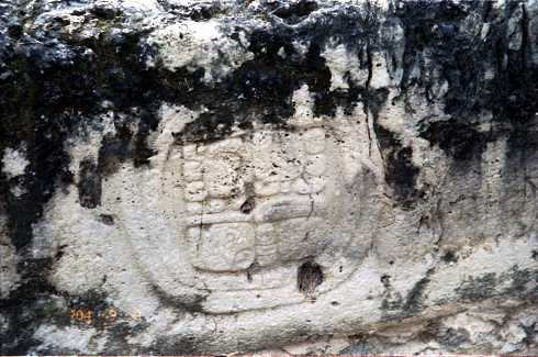 fd000044.jpg