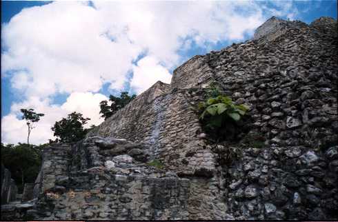 fd000064.jpg