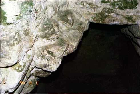 fd000079.jpg