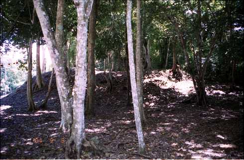 fd000120.jpg