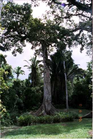 fd000127.jpg