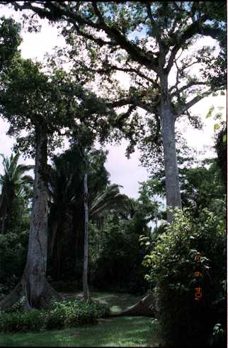 fd000128.jpg