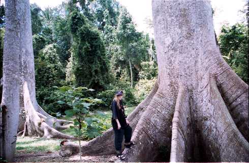 fd000130.jpg