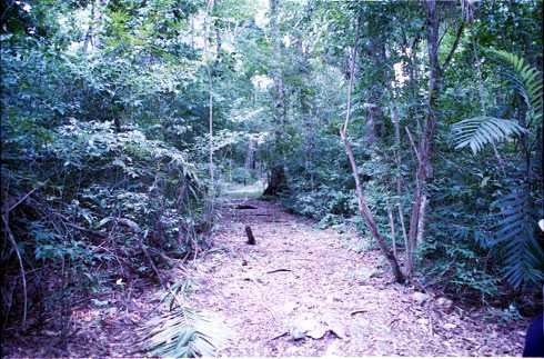 fd000133.jpg