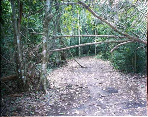 fd000134.jpg