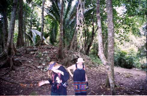 fd000135.jpg