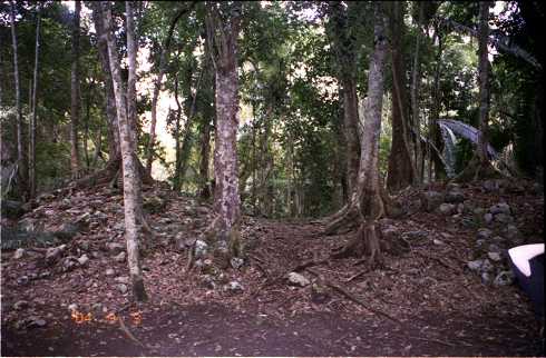 fd000136.jpg