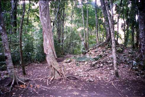 fd000137.jpg