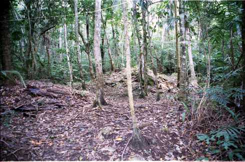 fd000139.jpg