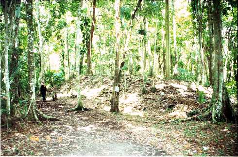 fd000140.jpg
