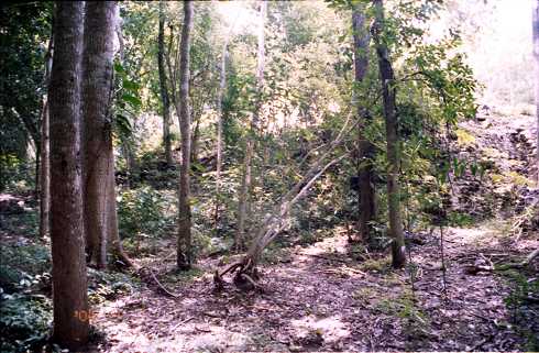 fd000142.jpg