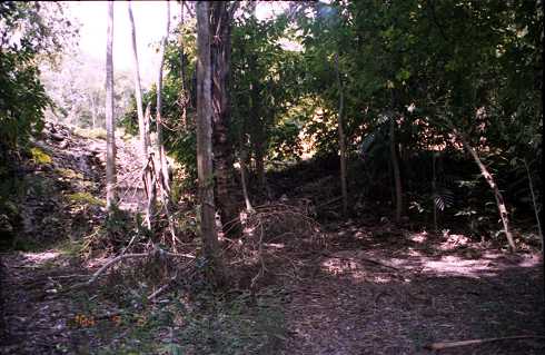 fd000143.jpg