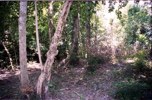 fd000144.jpg