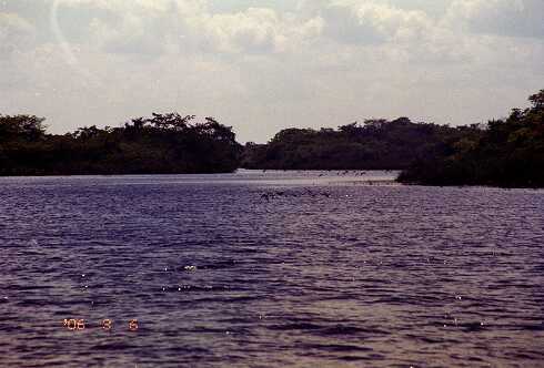 ff000017.jpg