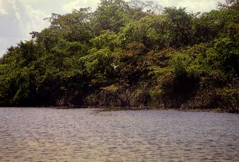 ff000019.jpg