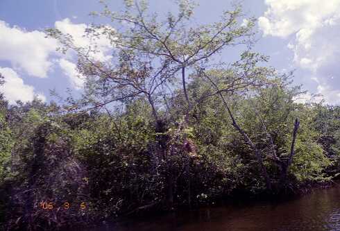 ff000029.jpg