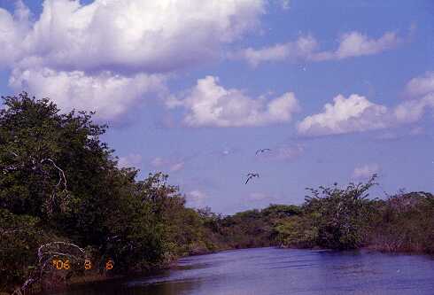 ff000032.jpg