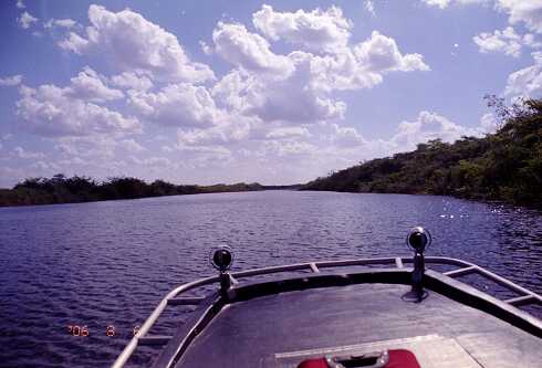 ff000033.jpg