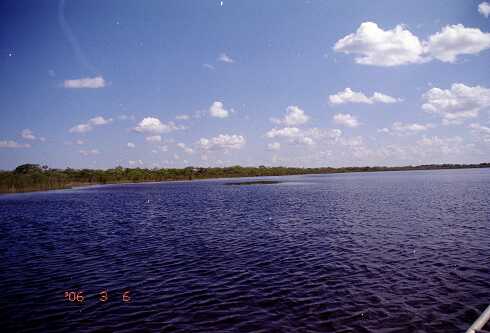 ff000038.jpg