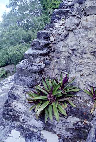 ff000149.jpg
