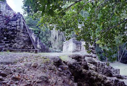 ff000153.jpg
