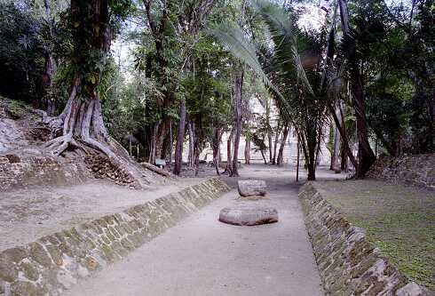 ff000213.jpg