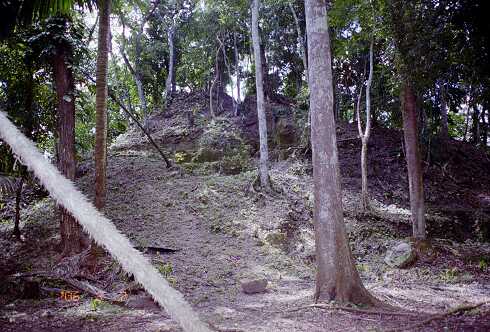 ff000214.jpg