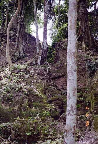 ff000215.jpg