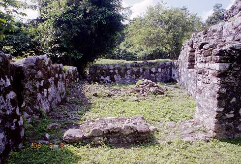 ff000267.jpg