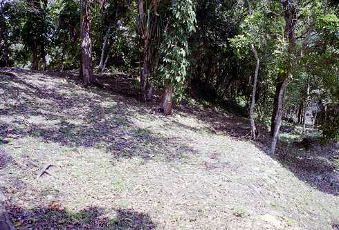 ff000313.jpg