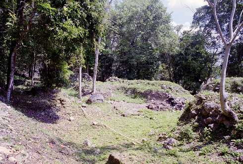 ff000314.jpg