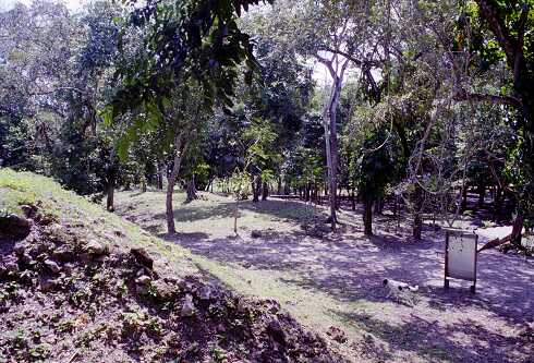 ff000316.jpg