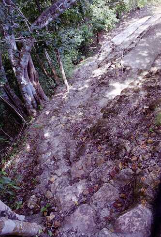 ff000320.jpg