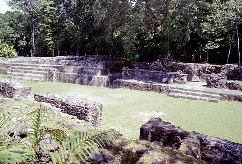 ff000336.jpg