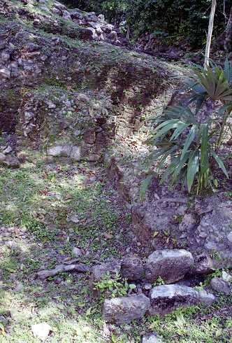 ff000338.jpg