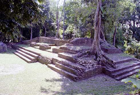 ff000343.jpg