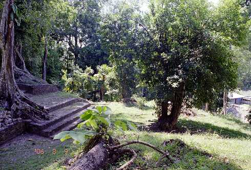 ff000344.jpg