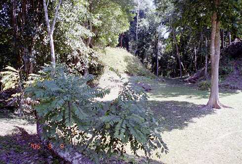 ff000346.jpg