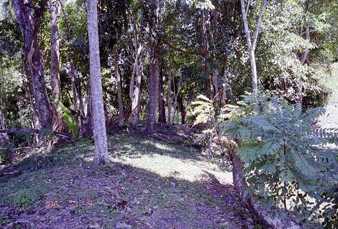 ff000347.jpg