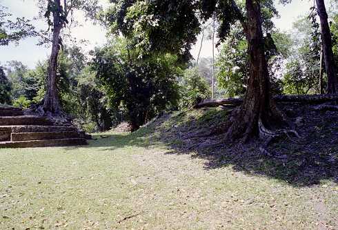 ff000351.jpg