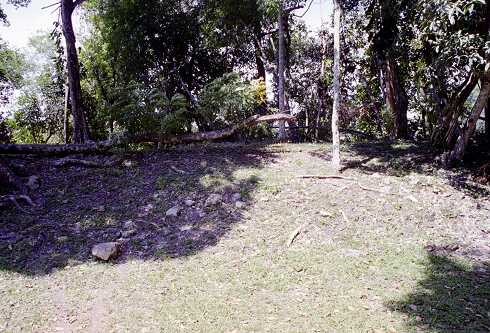 ff000352.jpg