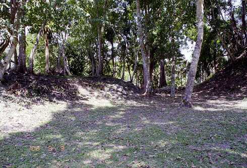 ff000353.jpg