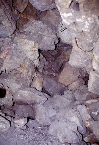 ff000360.jpg