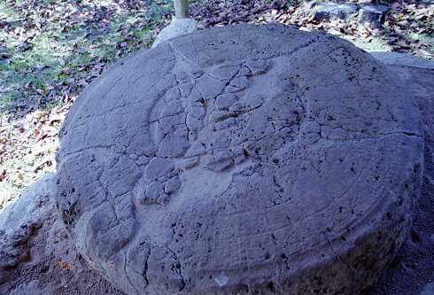 ff000429.jpg