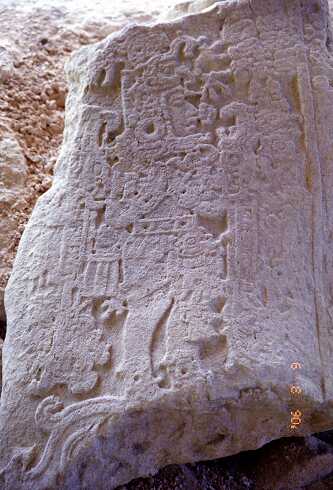 ff000433.jpg