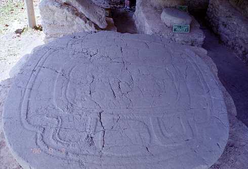 ff000436.jpg