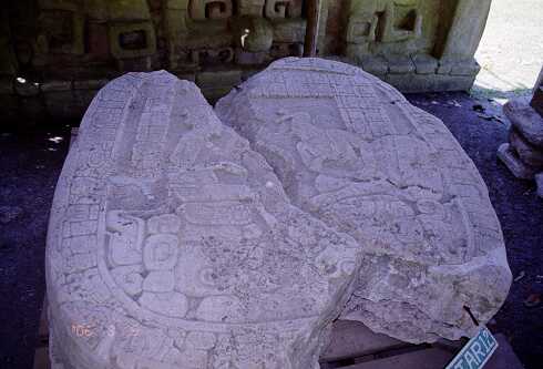 ff000438.jpg